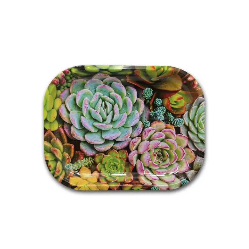 Bandeja Metal 18x14 cm. Suculentas
