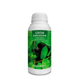 Grow Explosion Kayasolutions