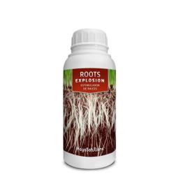 Roots Explosion Kayasolutions