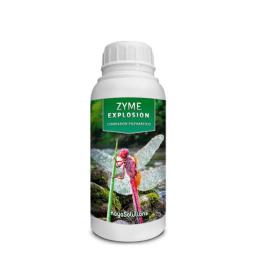 Zyme Explosion Kayasolutions