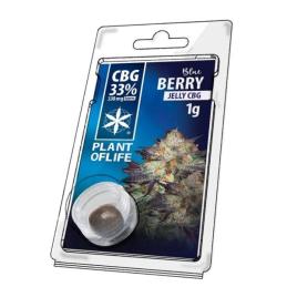 Jelly CBG 33% Blueberry Plant of Life