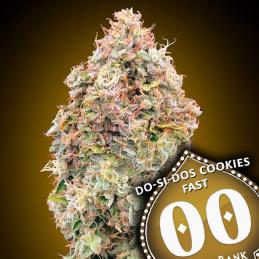 Do-Si-Dos Cookies Fast