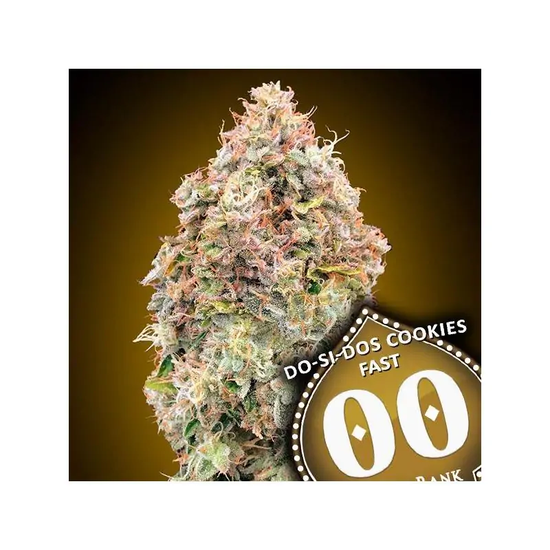 Do-Si-Dos Cookies Fast