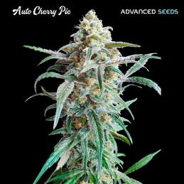 Auto Cherry Pie