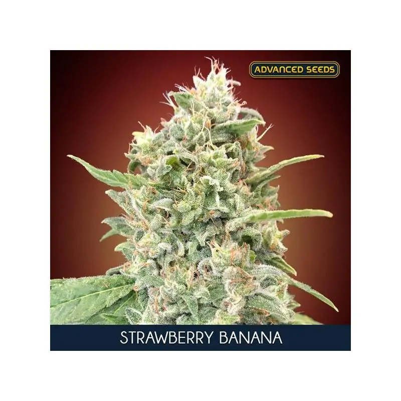 Strawberry Banana