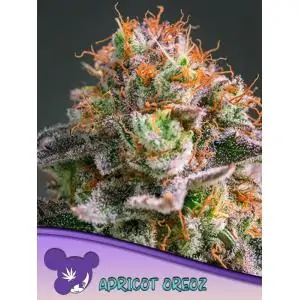 Apricot Oreoz