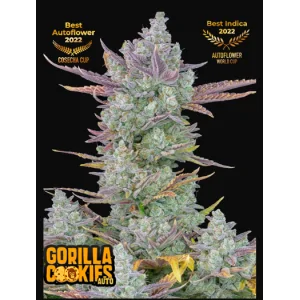 Gorilla Cookies Auto