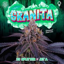 Granita 6 Semillas + 3 Gratis Tropic Ozz