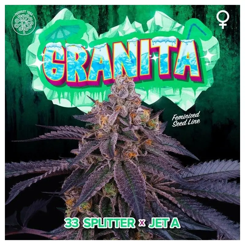 Granita 6 Semillas + 3 Gratis Tropic Ozz