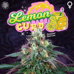 Lemon Curd 6 Semillas + 3 Gratis Tropic Ozz