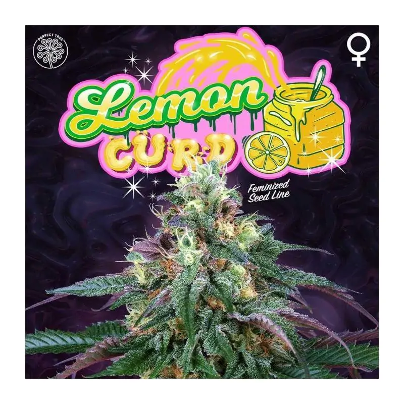 Lemon Curd 6 Semillas + 3 Gratis Tropic Ozz