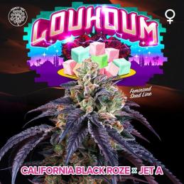 Loukoum 6 Semillas + 3 Gratis Tropic Ozz