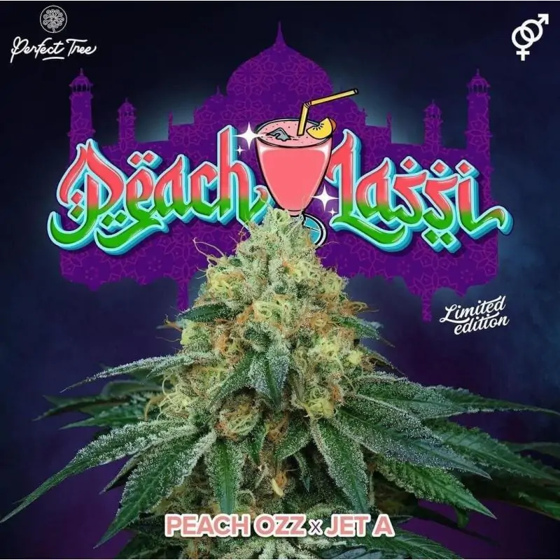Peach Lassi 6 Semillas + 3 Gratis Tropic Ozz