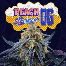 Peach Sherbet OG 6 Semillas + 3 Gratis Tropic Ozz