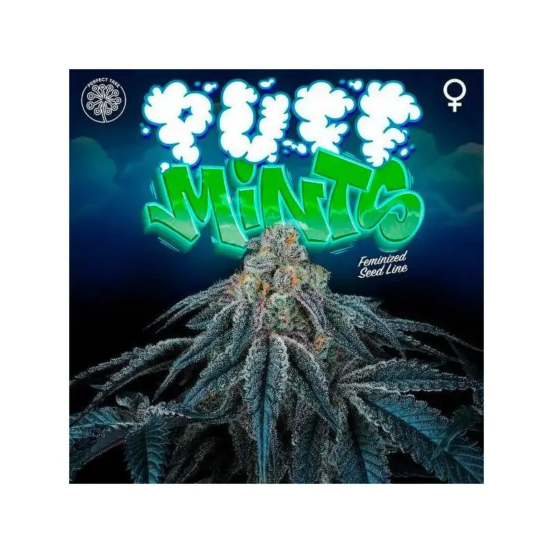 Puff Mints 6 Semillas + 3 Gratis Tropic Ozz