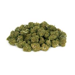 POP CORN CBD FLORES XUXES 10gr