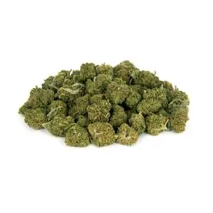 POP CORN BLUE KUSH CBD FLORES XUXES