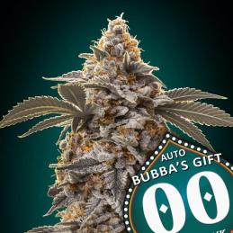 Auto Bubba´s Gift