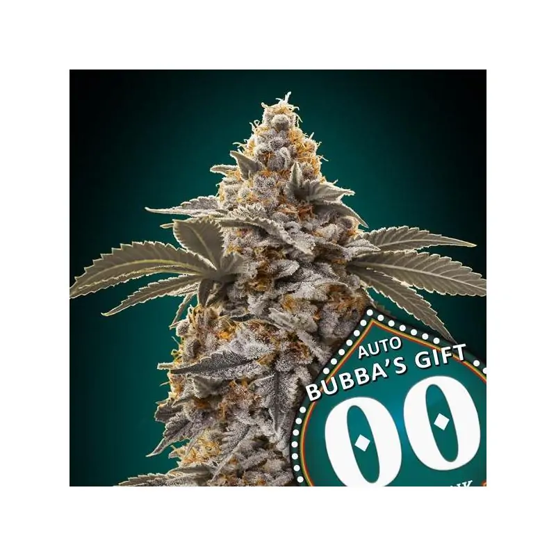 Auto Bubba´s Gift
