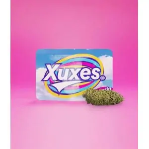 AMNESIA CBD FLORES XUXES