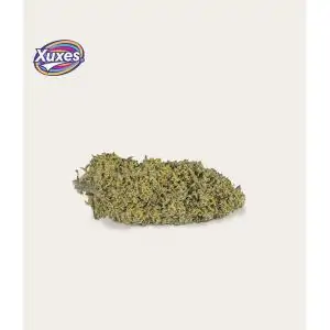 AMNESIA CBD FLORES XUXES