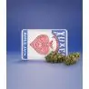 FLORES CBD APPLE JACK XUXES 3gr