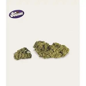 CBD FLORES COOKIES XUXES 3gr