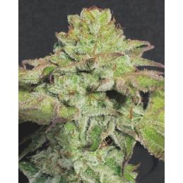 Alien Wedding Cookies