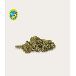 LEMON CBD FLORES XUXES 3gr