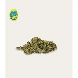 LEMON CBD FLORES XUXES 3gr