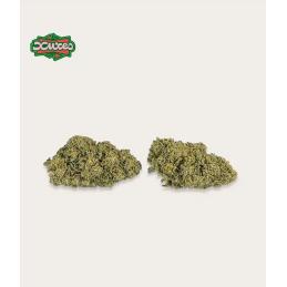 FLORES DE CBD WATERMELON XUXES