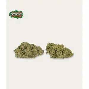 FLORES DE CBD WATERMELON XUXES