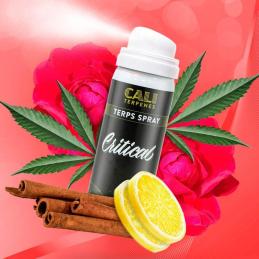 TERPS SPRAY CRITICAL CALI TERPENES