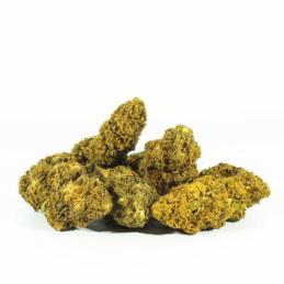Cañamo Cbd Amnesia Og