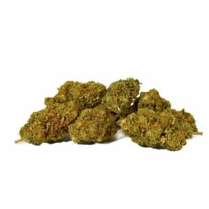 Cañamo Cbd Cherry Bomb Cali Og Only CBD Fans