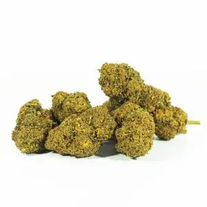 Cañamo Cbd Mango Haze only cbd fans