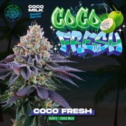 Coco Fresh 6 Semillas + 3 Gratis Coco Milk
