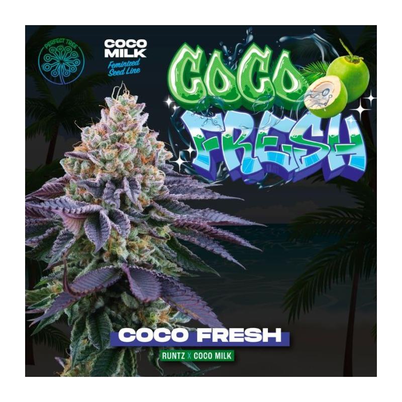 Coco Fresh 6 Semillas + 3 Gratis Coco Milk