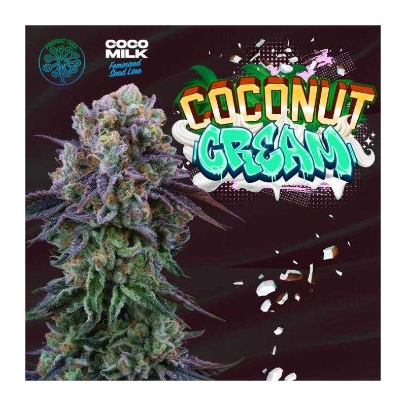 Coconut Cream 6 Semillas + 3 Gratis Coco Milk