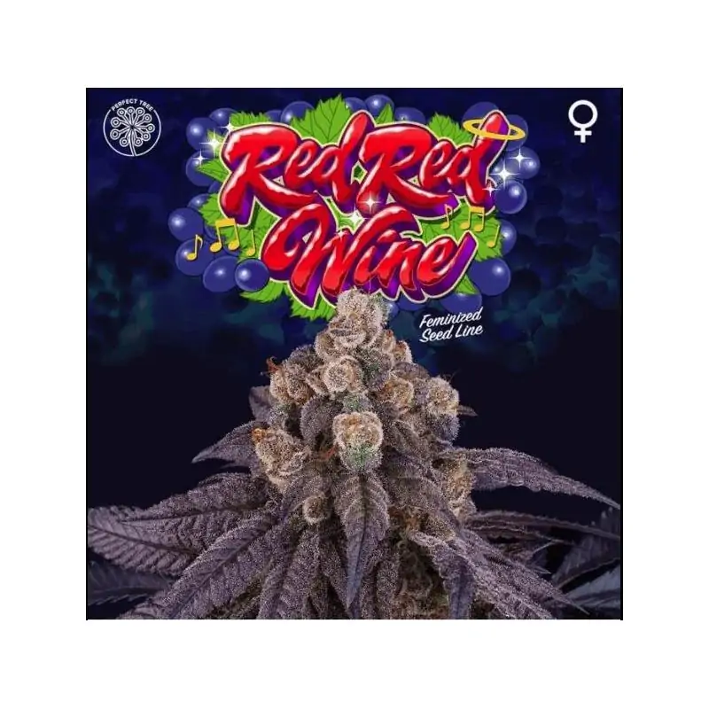 Red Red Wine 6 Semillas + 3 Gratis Tropic Ozz