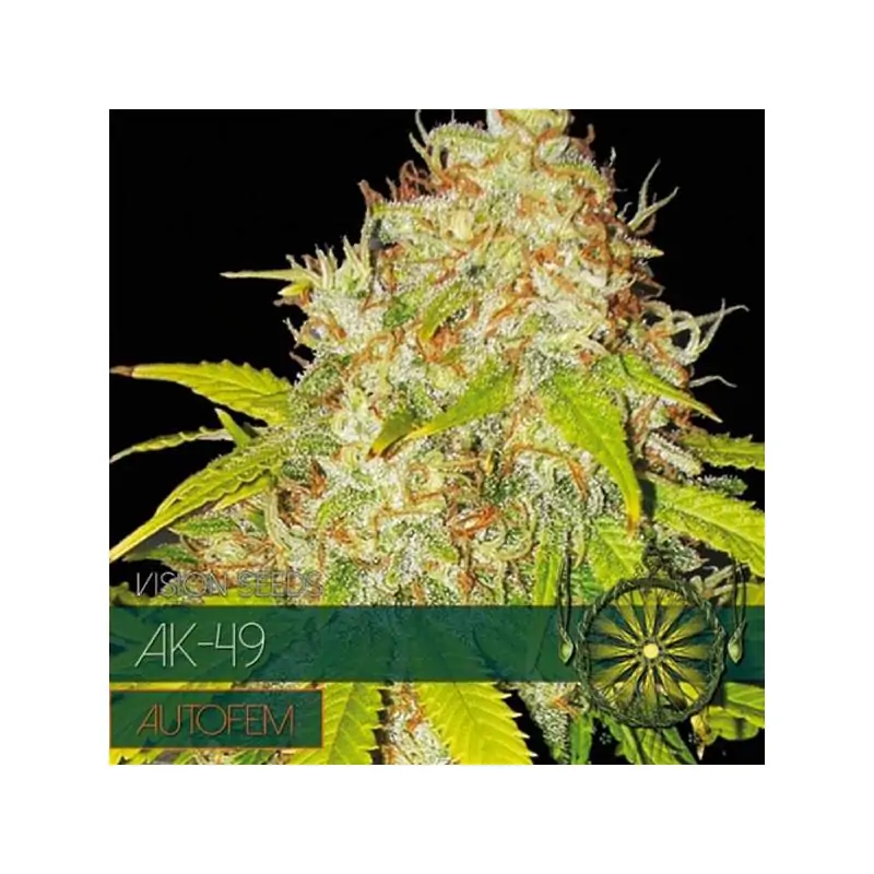 Auto AK 49