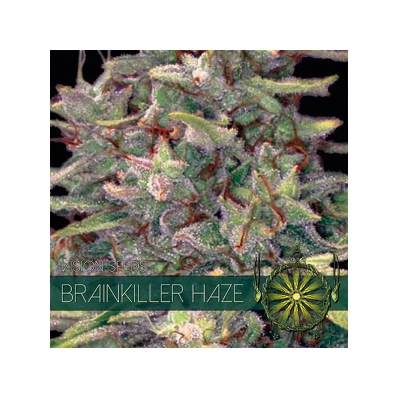 Brainkiller Haze