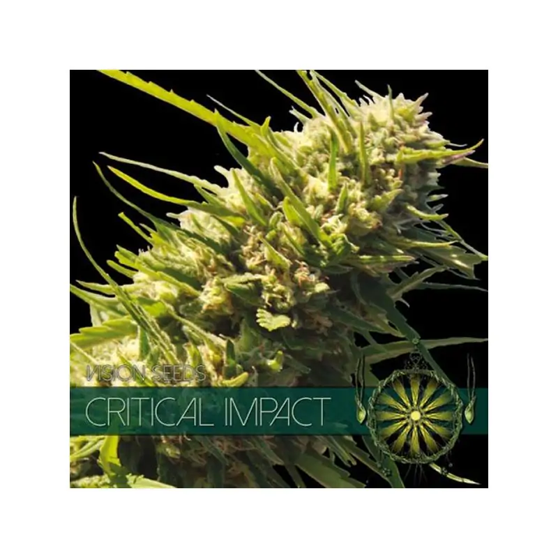 Critical Impact