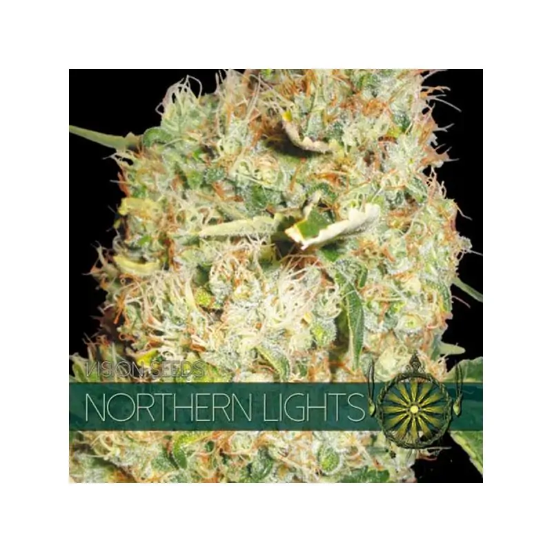 Northern Lights