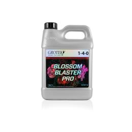 Blossom Blaster Pro 1 lt