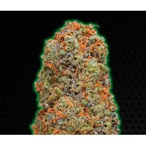 Monster Gelato