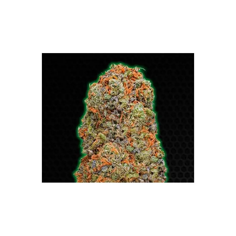 Monster Gelato
