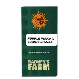 Purple Punch x Lemon Drizzle