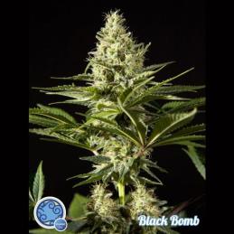Black Bomb