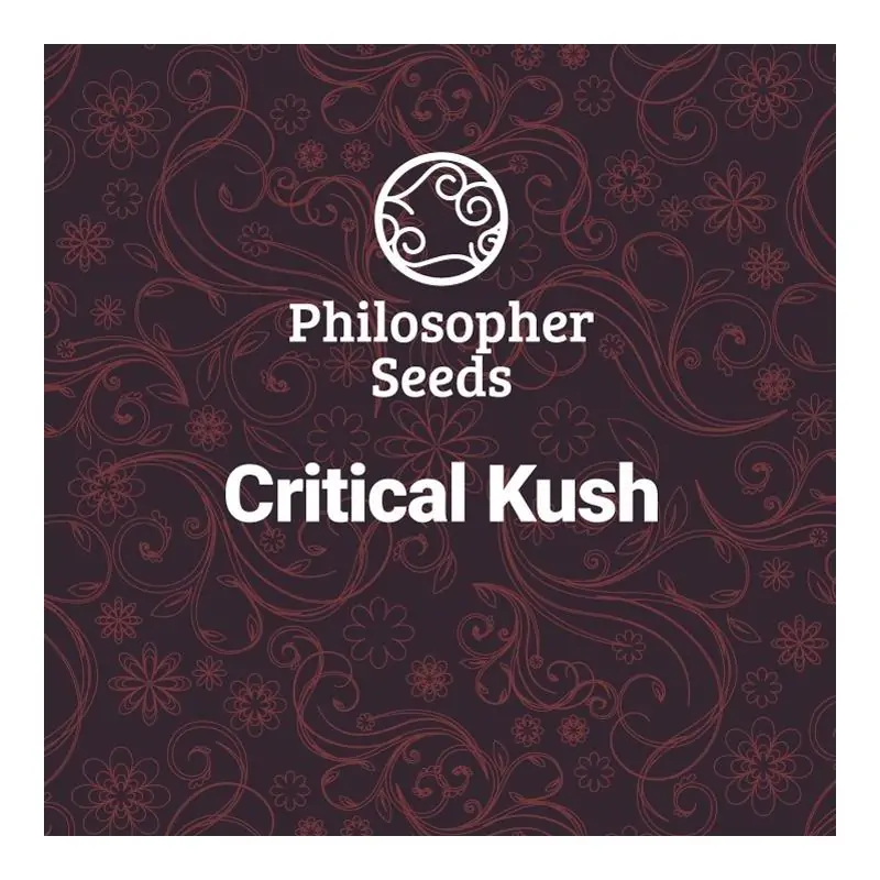 Critical Kush